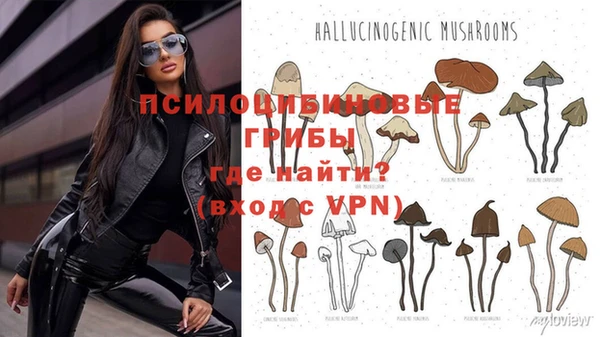 шишки Абинск