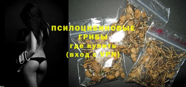 шишки Абинск
