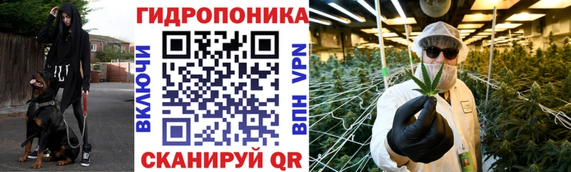 купить наркотик  Каменногорск  МАРИХУАНА White Widow 
